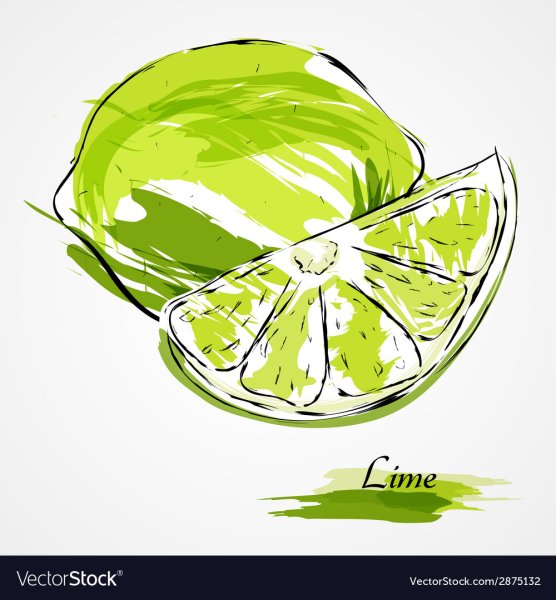 Лайм стилизованный