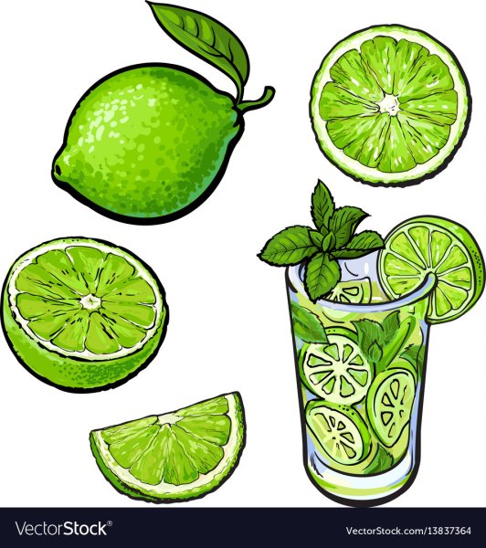 Мохито лимон и лайм вектор