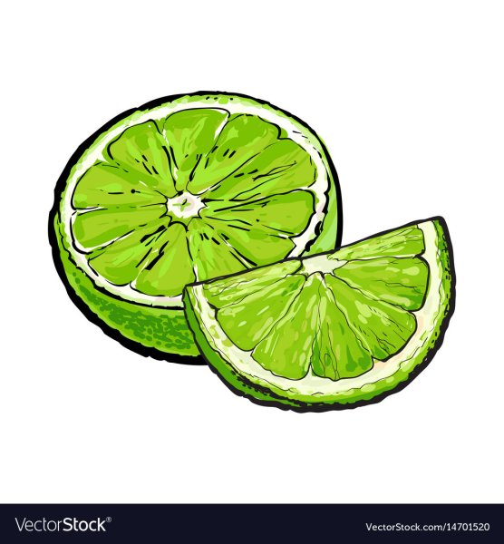 Лайм разрезанный рисунок
