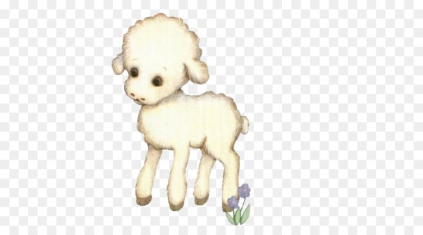 Анимированный маленький ягненок на прозрачном фоне