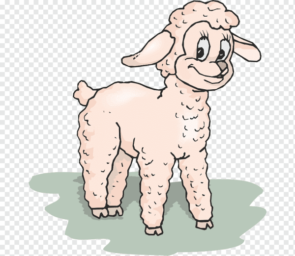 Ягненок иллюстрация