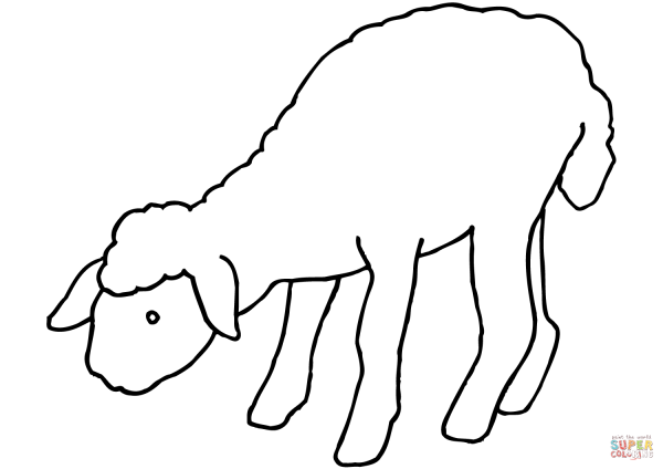 Ягненок раскраска для малышей