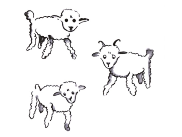 Барашек из маленького принца