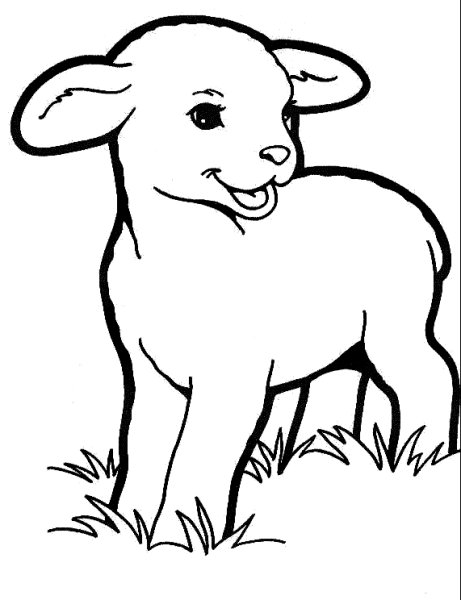 Домашние животные карандашом для детей