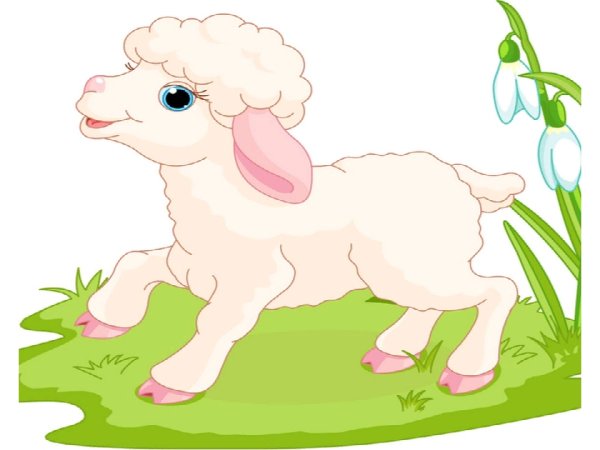 Отрисовка ягненок