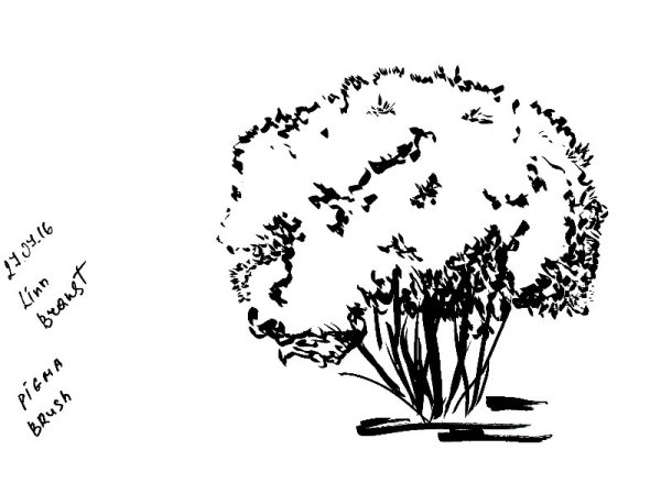 Кусты для рисования