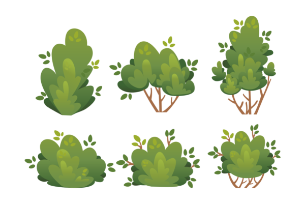 Куст Векторная Графика