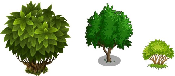 Кустарники для раскрашивания