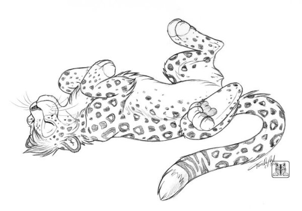 Раскраска милый леопард