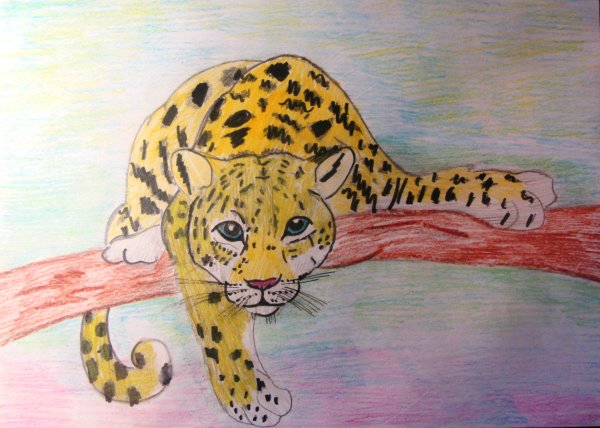 Леопард раскраска для детей
