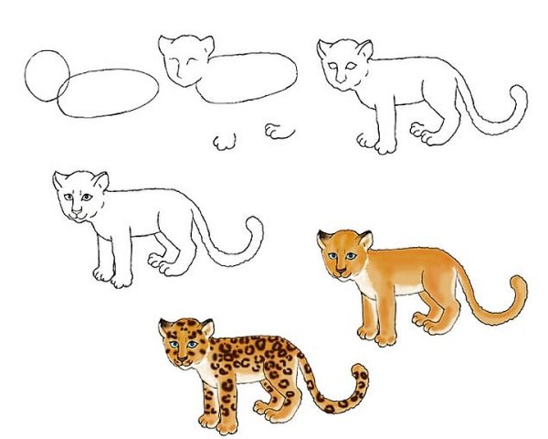 Раскраска антистресс гепард