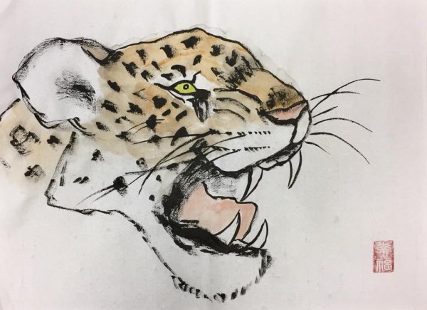 Маленький гепард раскраска