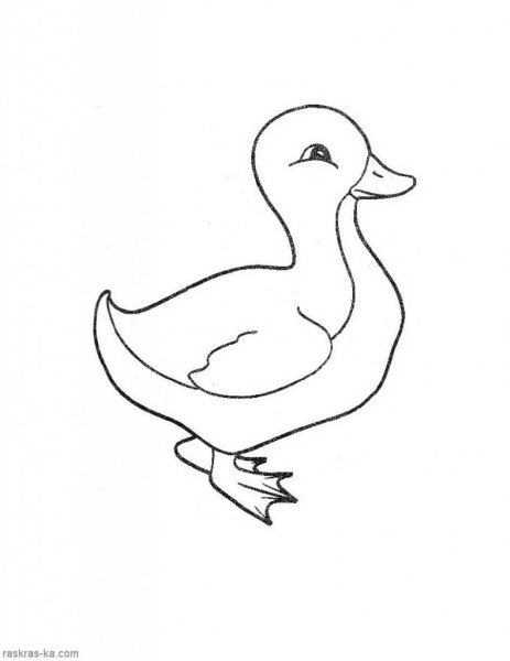 Утка карандашом