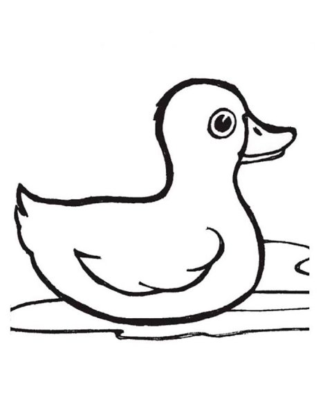 Уточка раскраска для малышей