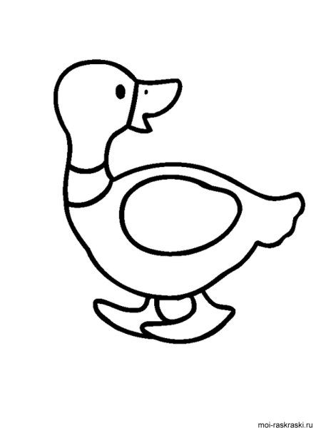 Уточка раскраска для детей