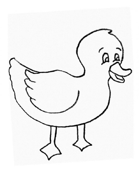 Раскраска утенок для детей 3-4 лет