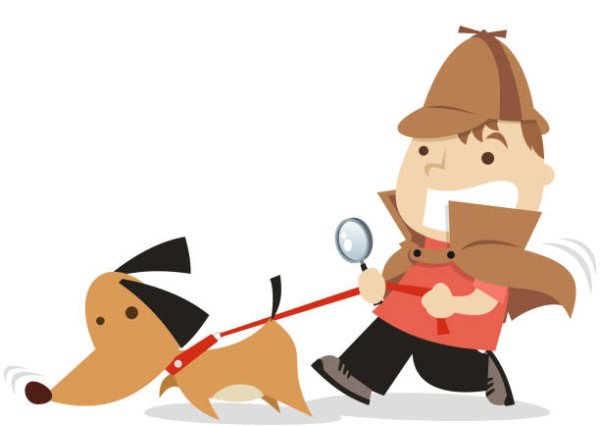 Собака сыщик