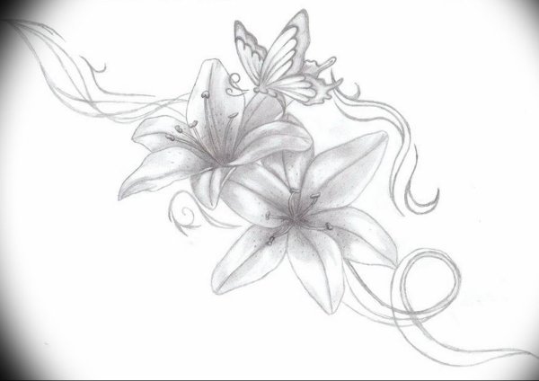Лилия рисунок Минимализм