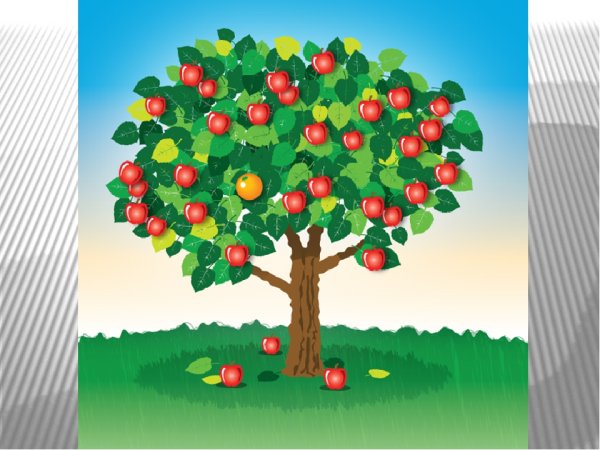 Дерево раскраска