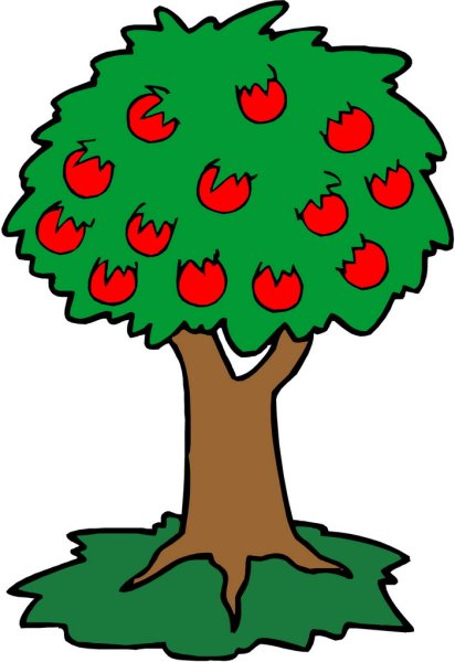 Яблоня раскраска