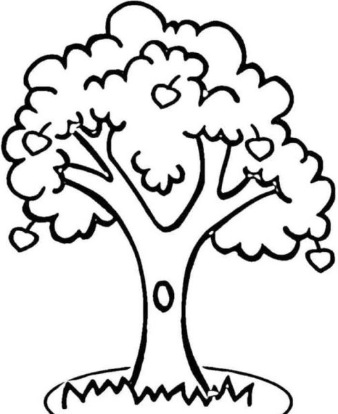 Яблоня раскраска