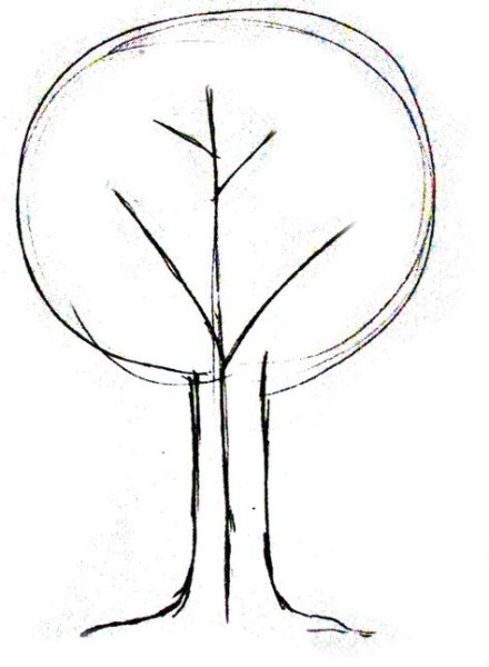 Дерево раскраска для детей