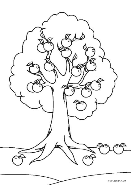 Яблоня дерево для детей