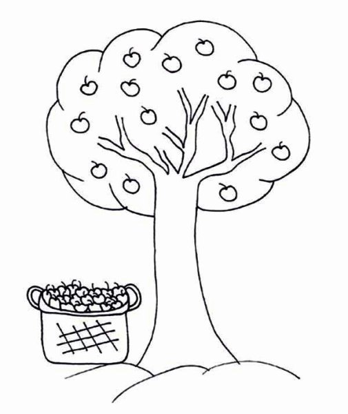 Яблоня без яблок