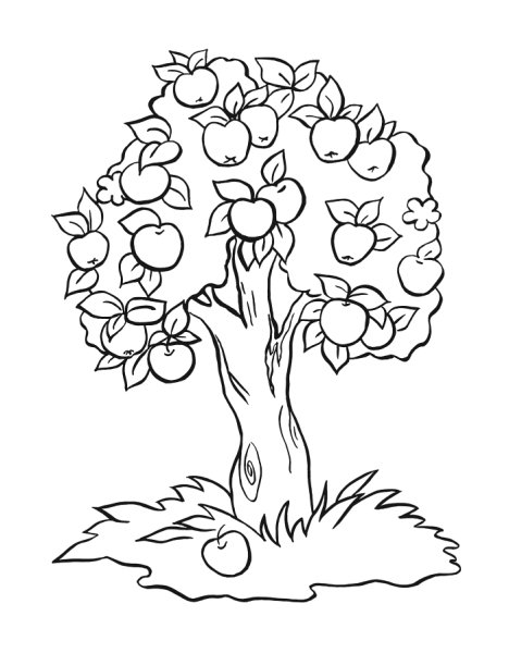 Раскраска дерево с листьями