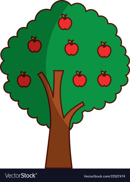 Яблоня раскраска