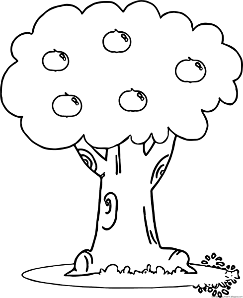 Дерево контур