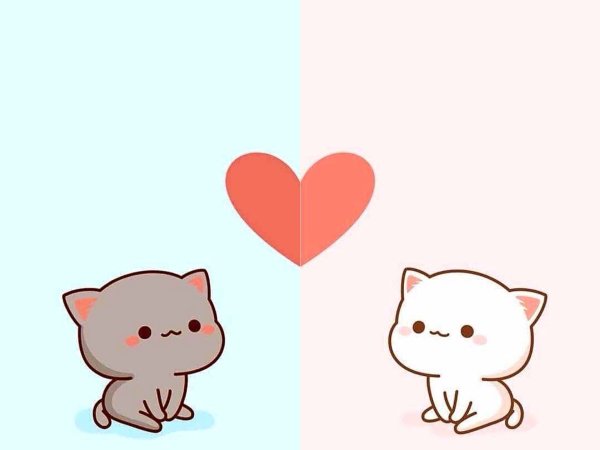 Парные обои котики