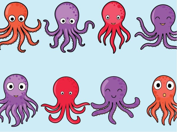Осьминог вектор