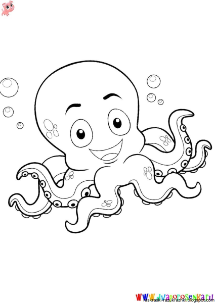 Осьминог черно белый