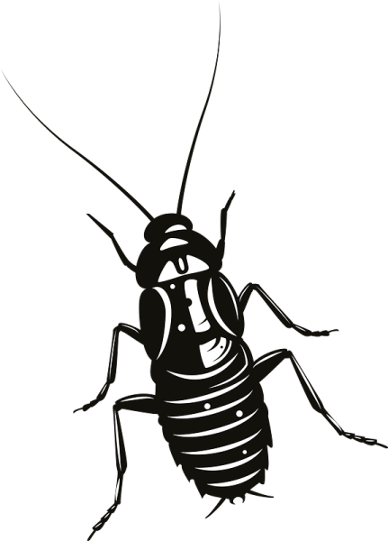 Мадагаскарский таракан вектор