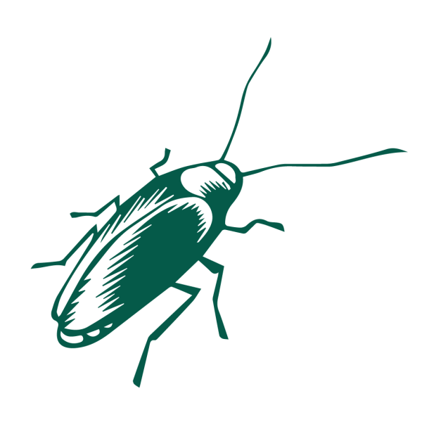 Таракан трафарет