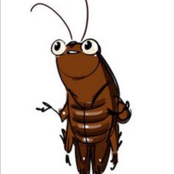 Таракан арт