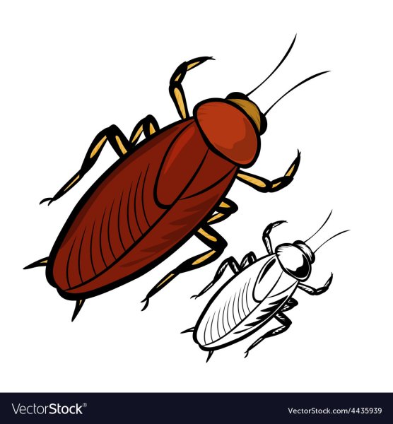 Много тараканов нарисованные