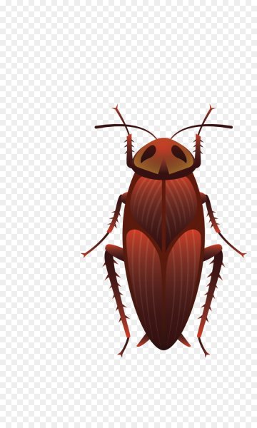 Таракан вектор