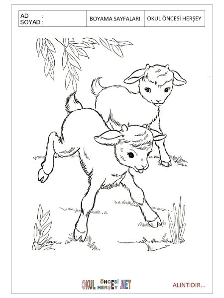 Козленок раскраска для малышей