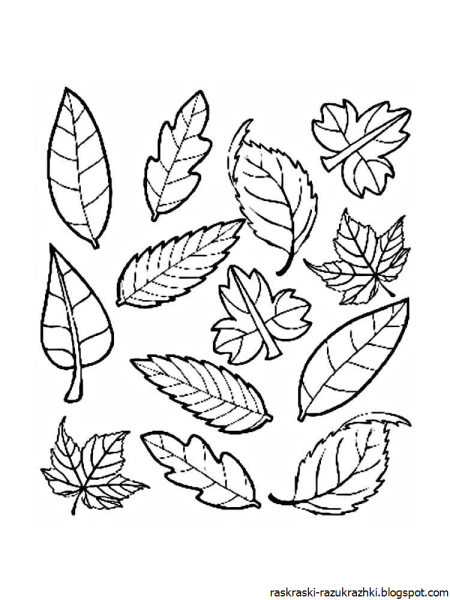 Раскраска дерево с листьями