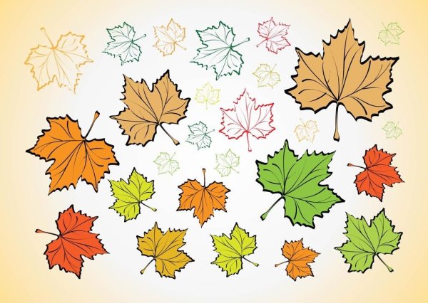 Нарисовать кленовый лист