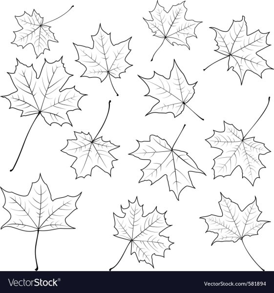 Кленовые листочки трафарет