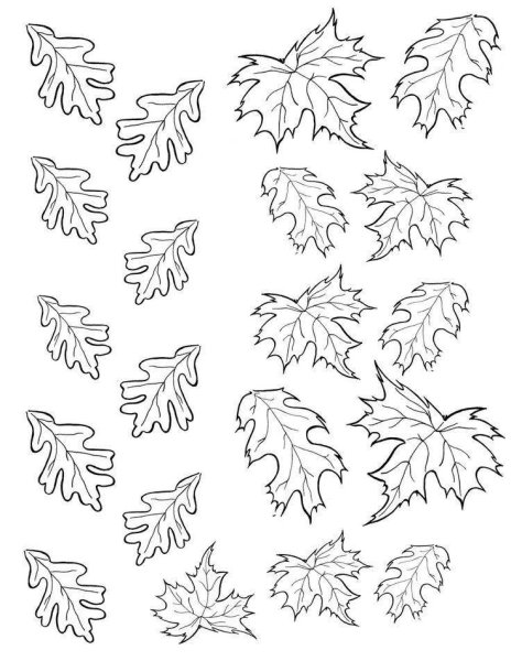 Трафарет листьев