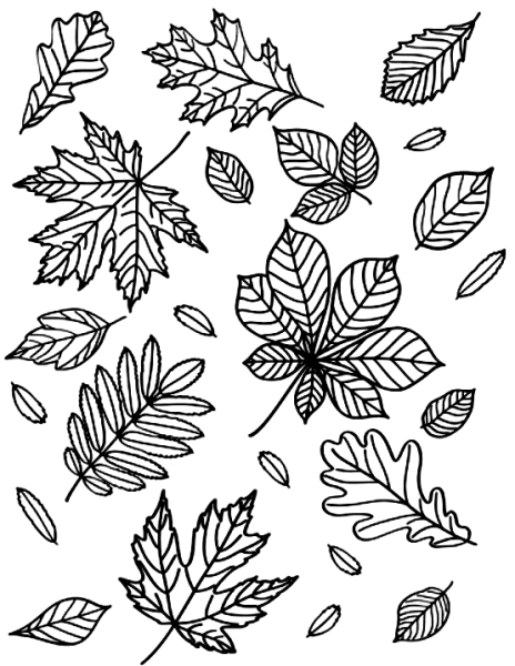 Раскраска листики осенние