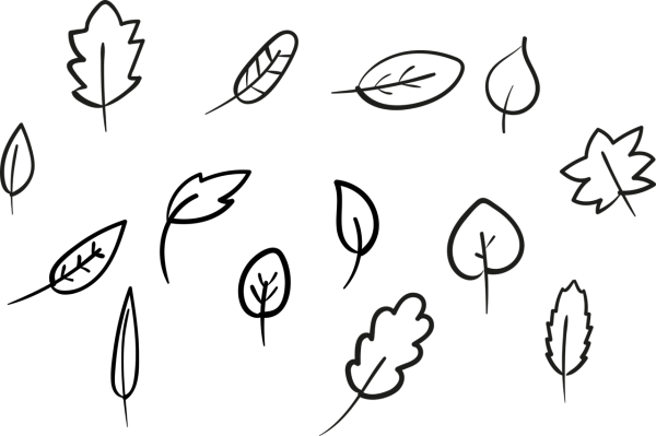 Листок Графика