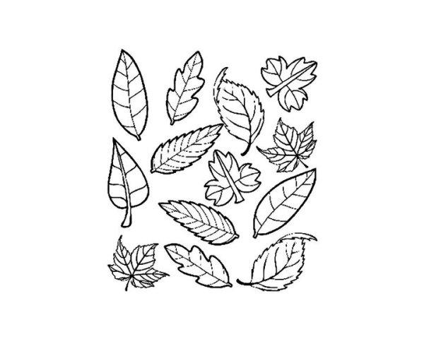 Ковер из листьев раскраска