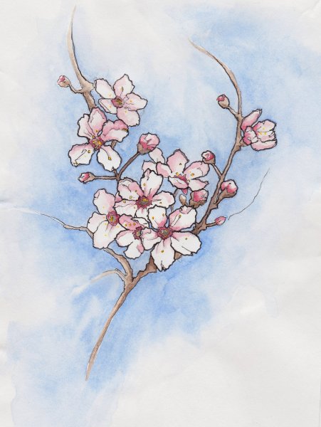 Картина черри блоссом