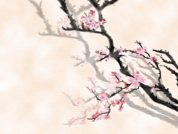 Сакура рисунок