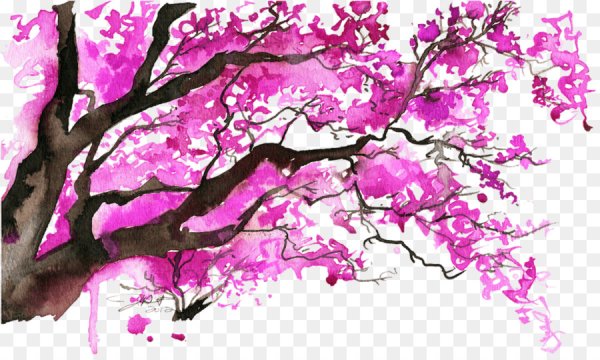 Деревья акварелью